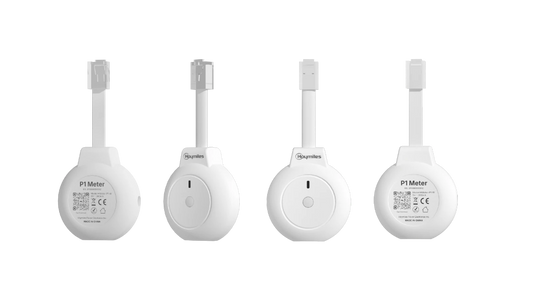 Hoymiles HiOne Smart P1 Meter Wi-Fi (HMeter-P1-W)